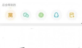 张小寒最新爆料出的视频,独家爆料背后的惊人真相